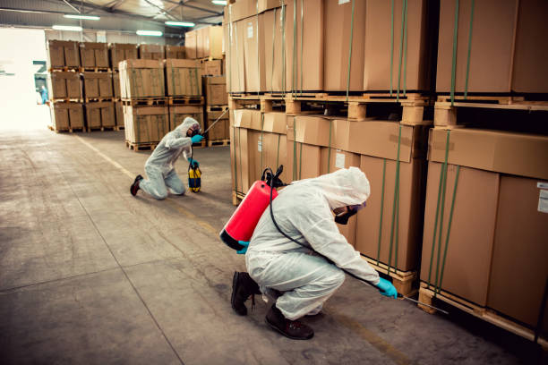 Best Pest Removal Services  in Utica, SC
