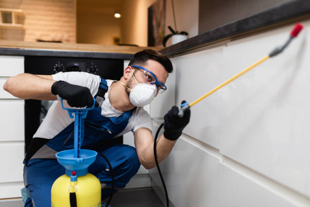 Best Pest Prevention Services  in Utica, SC
