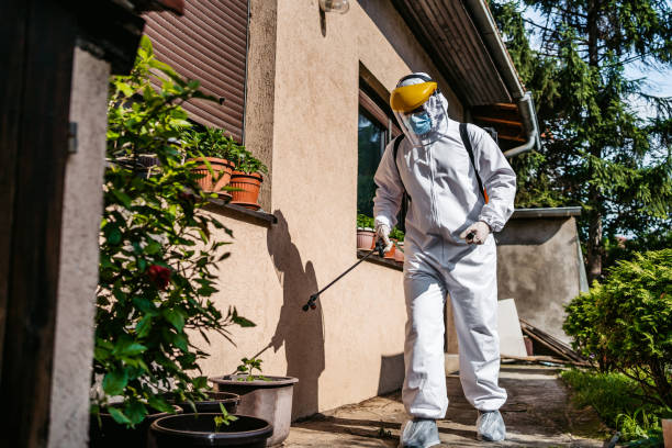Best Residential Pest Control  in Utica, SC