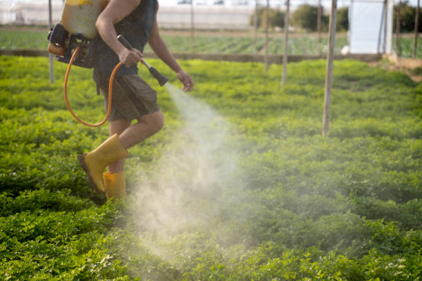 Best Pest Control for Restaurants  in Utica, SC