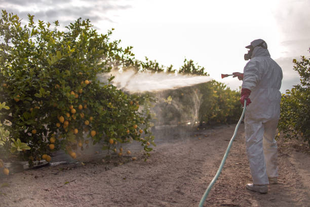 Best Local Pest Control Services  in Utica, SC