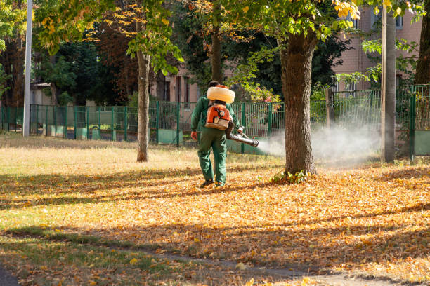 Professional Pest Control in Utica, SC