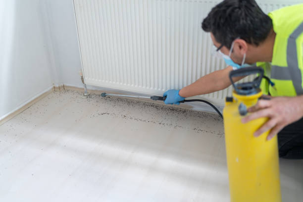 Best Affordable Pest Control Services  in Utica, SC