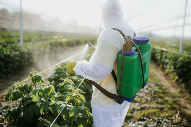 Best Commercial Pest Control Services  in Utica, SC